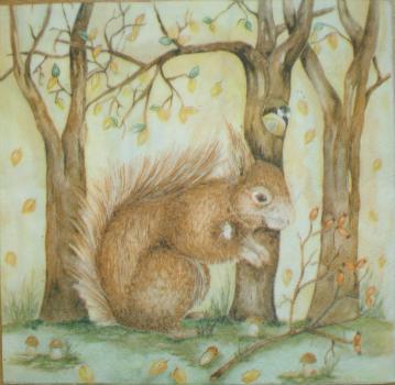 011 Eichhörnchen - dunkel